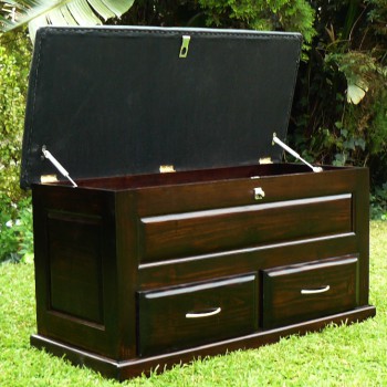 Stunning stained saligna kist opens with shocks and has two drawers